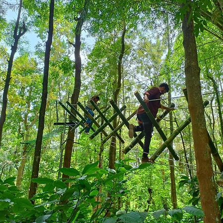 Adrak Mountain Mist Forest Resort Pulpally Exterior photo