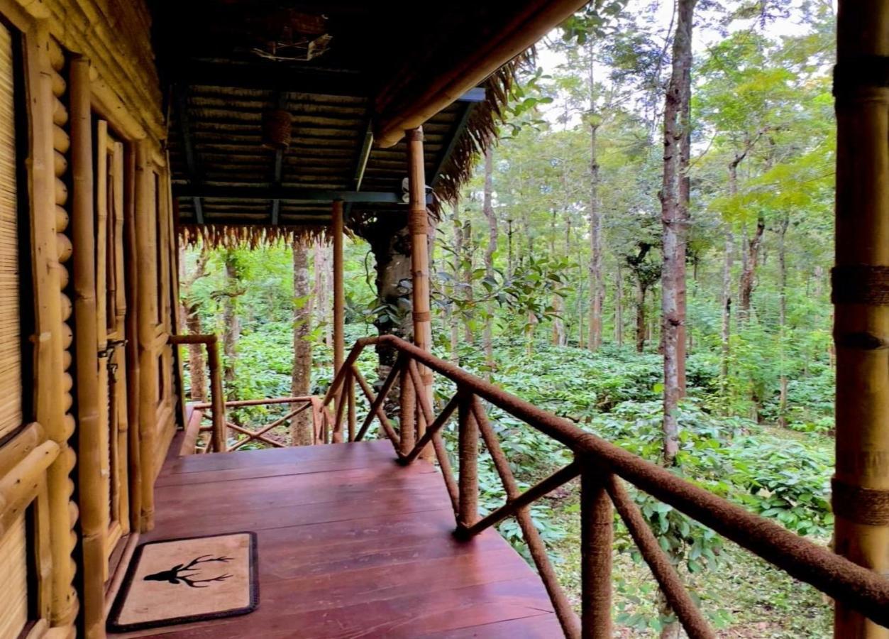 Adrak Mountain Mist Forest Resort Pulpally Exterior photo