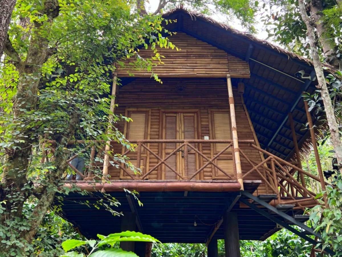 Adrak Mountain Mist Forest Resort Pulpally Exterior photo