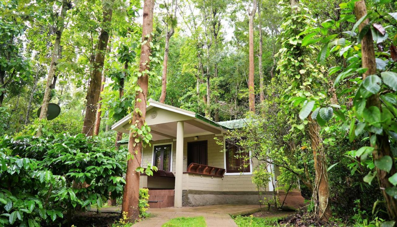 Adrak Mountain Mist Forest Resort Pulpally Exterior photo