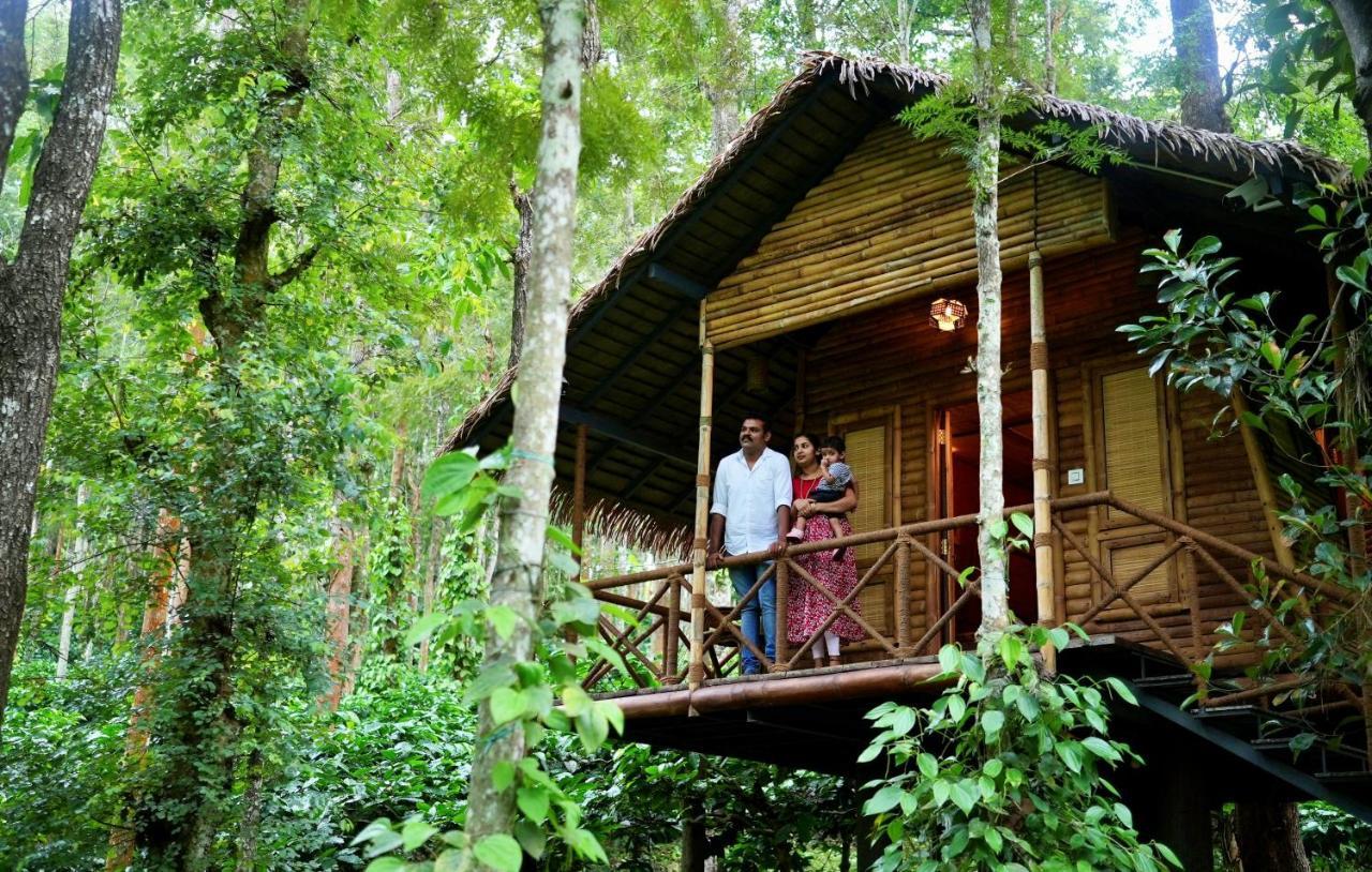 Adrak Mountain Mist Forest Resort Pulpally Exterior photo
